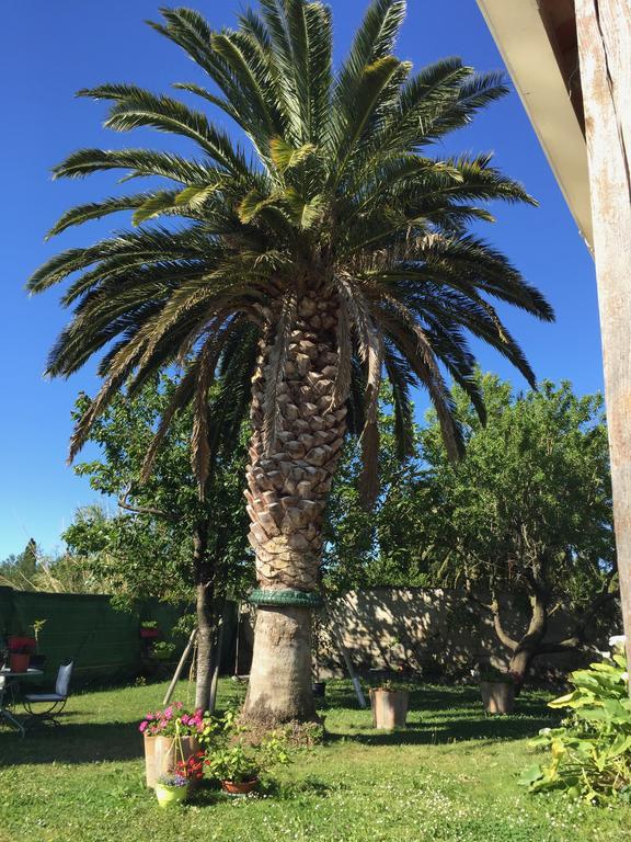 Chez Marydidou : Chambres D'Hotes Istres Esterno foto